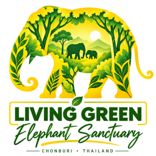 Living Green Elephant Sanctuary — Official Website